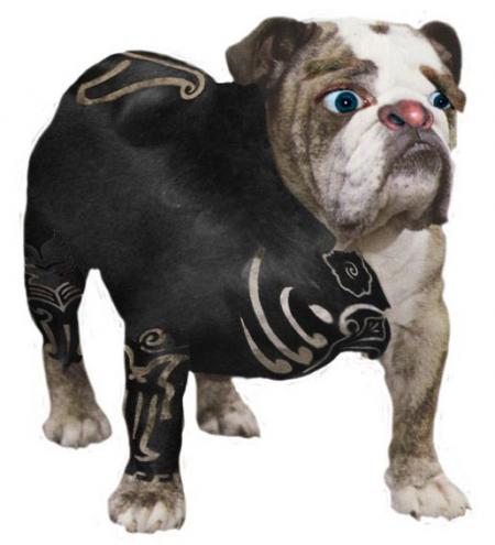 le chien de knorkator