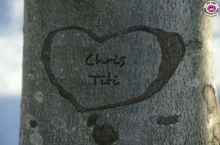 pour titi
